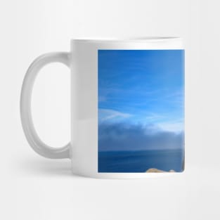 Channel Islands National Park Santa Cruz Island Mug